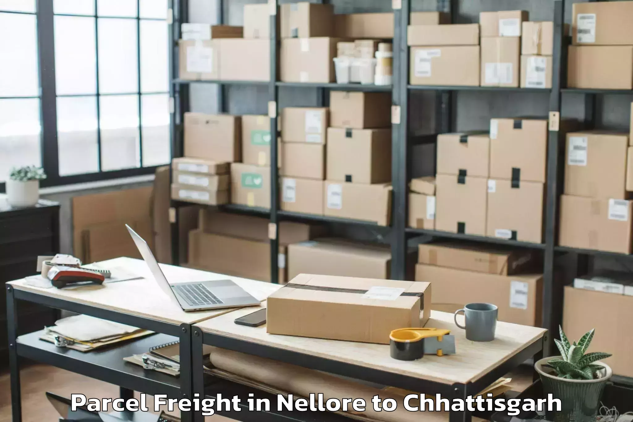 Top Nellore to Bhilai Parcel Freight Available